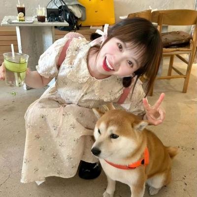 疯狂追击者